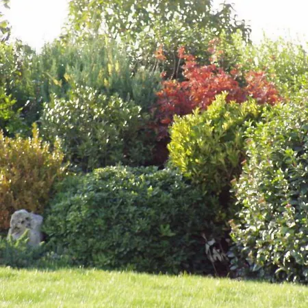 Corte Del Picchio & Breakfast Bed and Breakfast