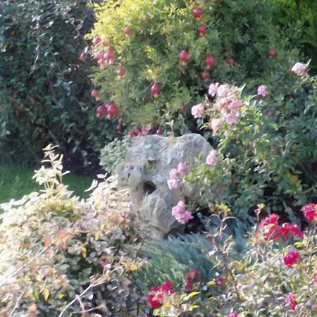 Corte Del Picchio & Breakfast 4*