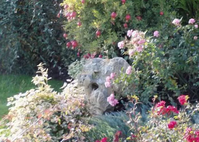 阿拉哥德尔平克住宿加早餐酒店 4*