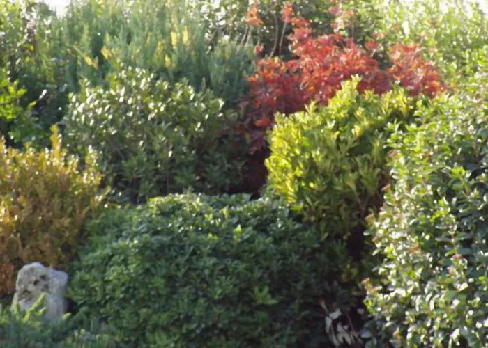 阿拉哥德尔平克住宿加早餐酒店 住宿加早餐酒店